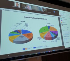 Wideokonferencji pn. &bdquo;Transgraniczne problemy administracyjne i funkcjonalne".